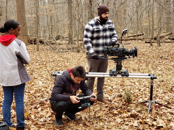 Camera operator on a slider in the woods, a crew member crouched at the monitor, autumn leaves